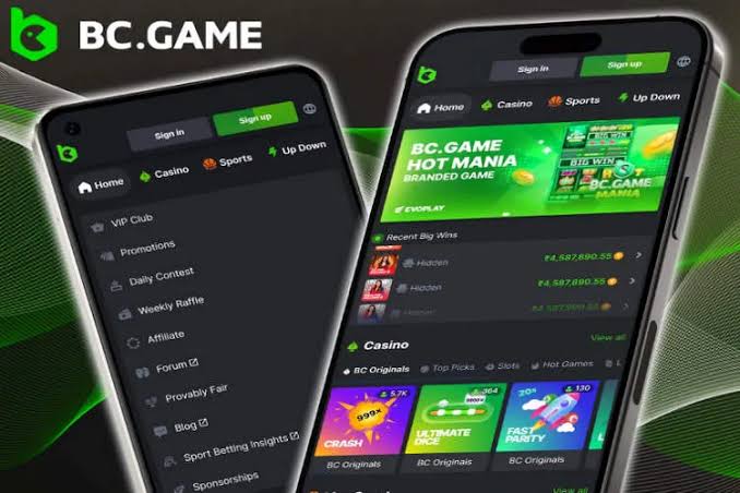 Experience the Thrill of Crash BC Fun Dive into the Exciting World of Online Gaming